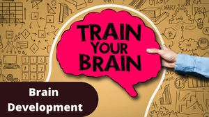 Brain Development
